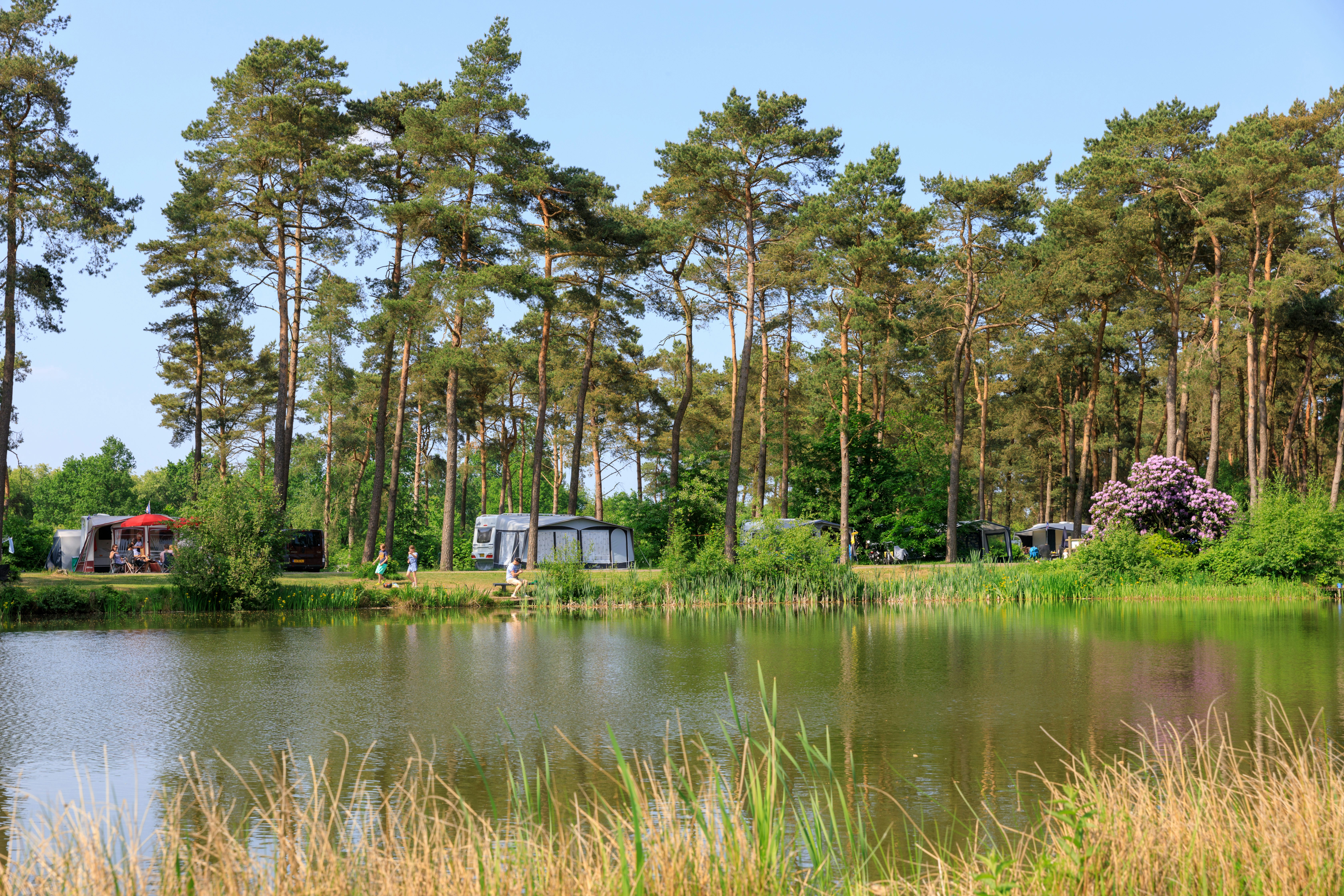 Ardoer Camping Diana Heide