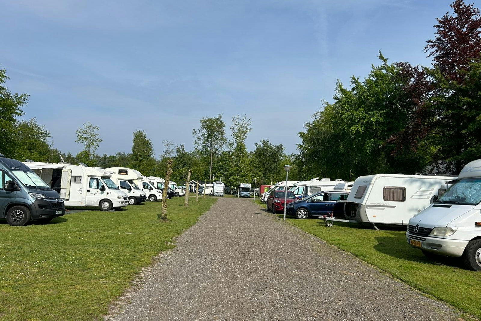 campingstuhl grn Campingstuhl 2er Set