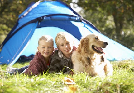 camping mit hund in baden wurttemberg die top platze pincamp by tcs