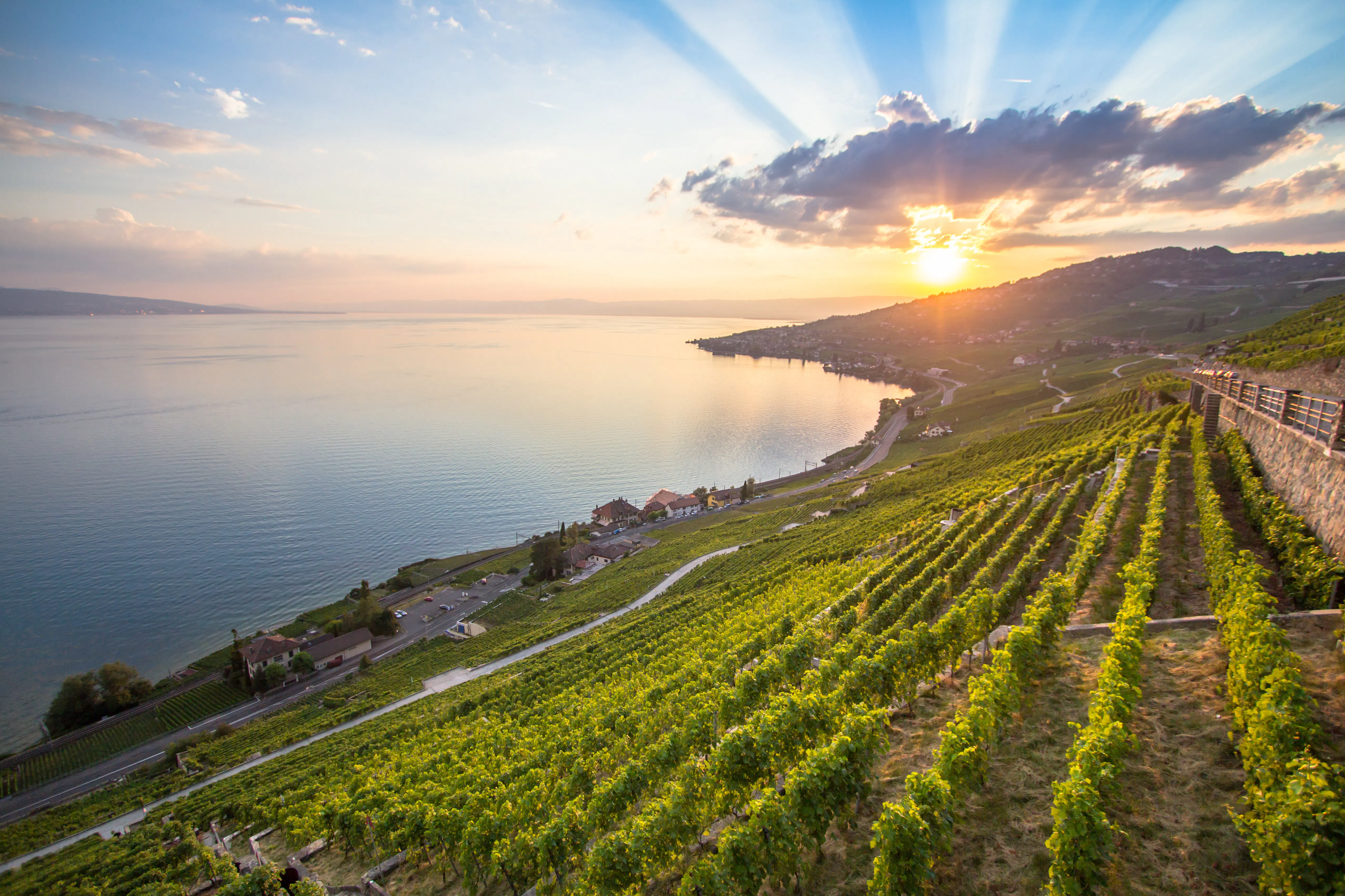Camping au lac de Neuchâtel : Les plus beaux campings | PiNCAMP by TCS